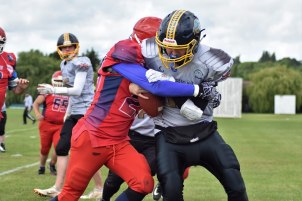 64740060_140110360505343_5491356055780720640_n